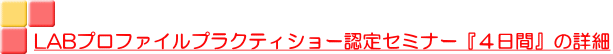 LABプロファイルプラクティショー認定セミナー『４日間』の詳細