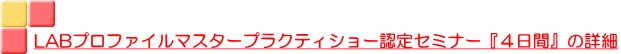 LABプロファイルマスタープラクティショー認定セミナー『４日間』の詳細